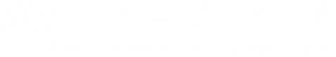 Directrix · Business Analytics